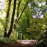 Landgasthof Spitzerwirt מלון 3*