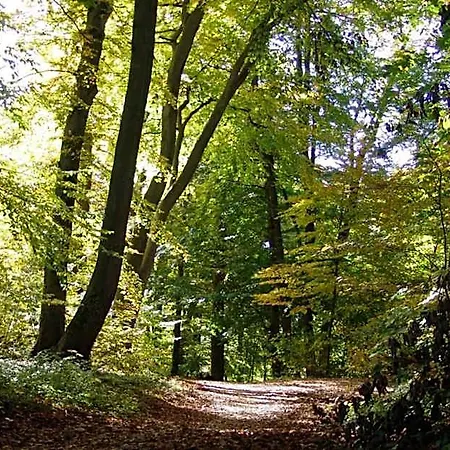Landgasthof Spitzerwirt 호텔