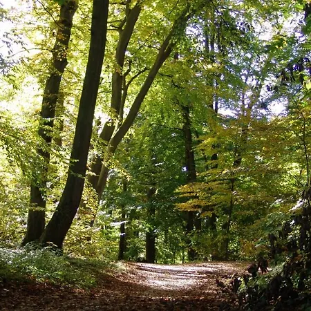 Landgasthof Spitzerwirt Szálloda 3*