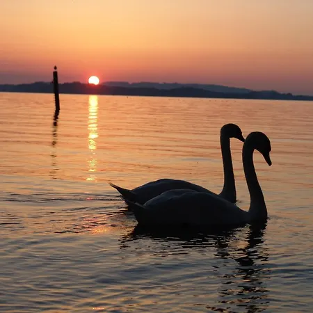Szálloda Landgasthof Spitzerwirt 3*