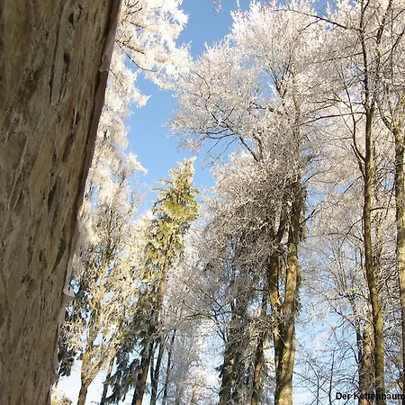 Landgasthof Spitzerwirt 3* St. Georgen im Attergau