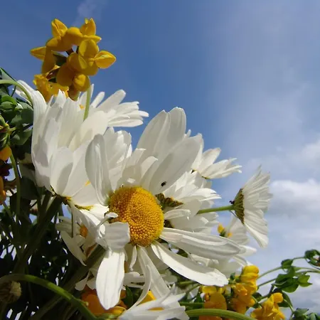 Landgasthof Spitzerwirt Hotel 3*