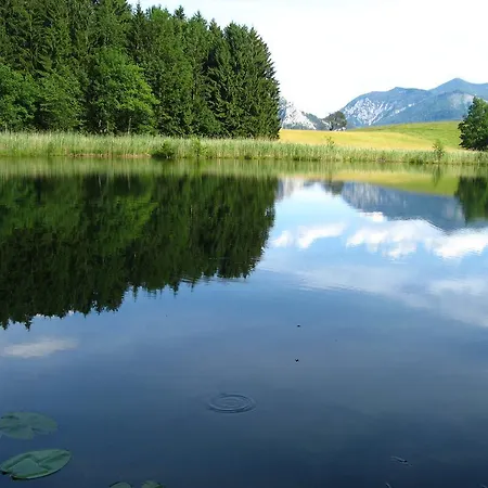 Landgasthof Spitzerwirt Hotell