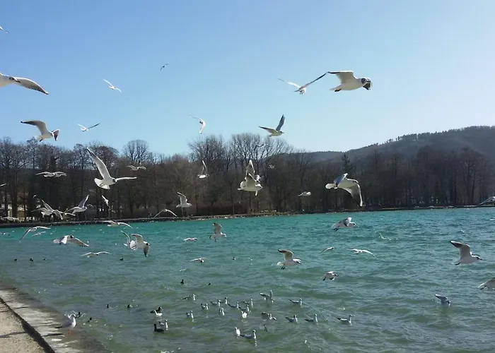 Landgasthof Spitzerwirt Hotel