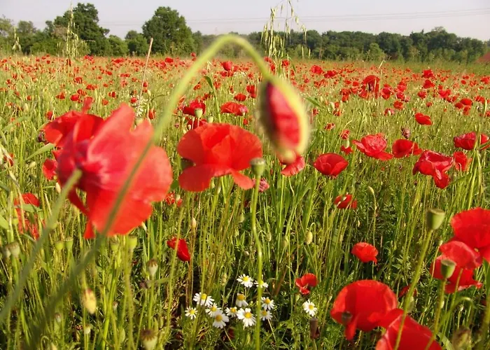 Landgasthof Spitzerwirt 3*