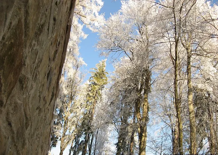 Landgasthof Spitzerwirt 3* Sankt Georgen im Attergau