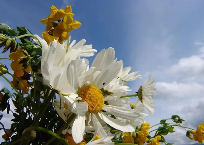 Landgasthof Spitzerwirt Hotel 3*