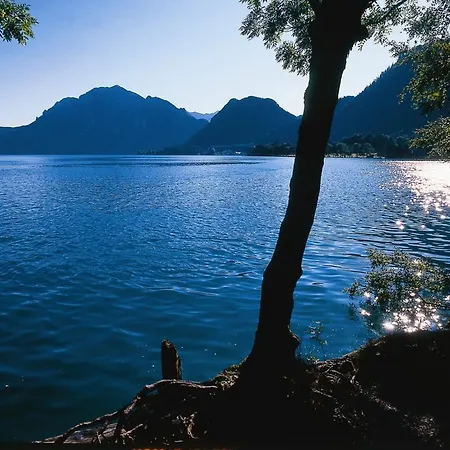 Hotel Landgasthof Spitzerwirt St. Georgen im Attergau
