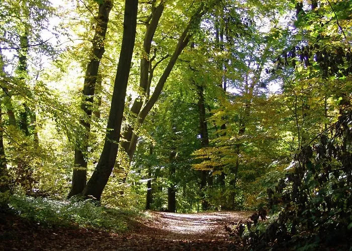 Landgasthof Spitzerwirt Hotel 3*