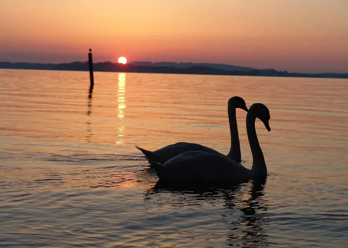 Hotel Landgasthof Spitzerwirt 3*