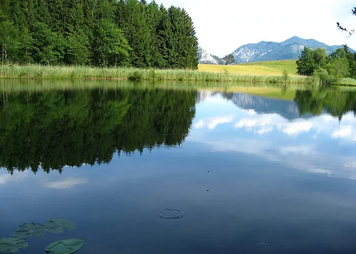 Landgasthof Spitzerwirt Hotel